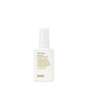 Evo Salty Dog Salt Spray 50ml Hos Frisøren   Baronen