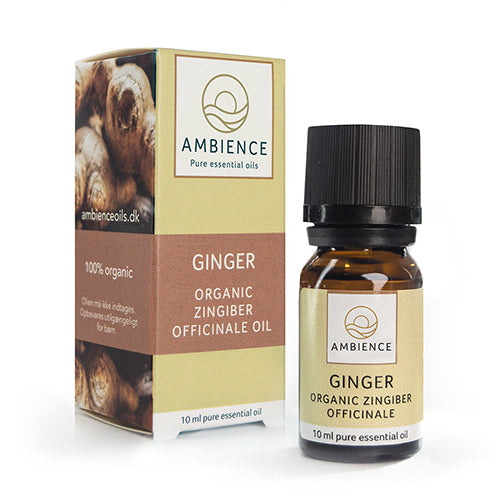 Ambience Ambience Ingefær Olie øko