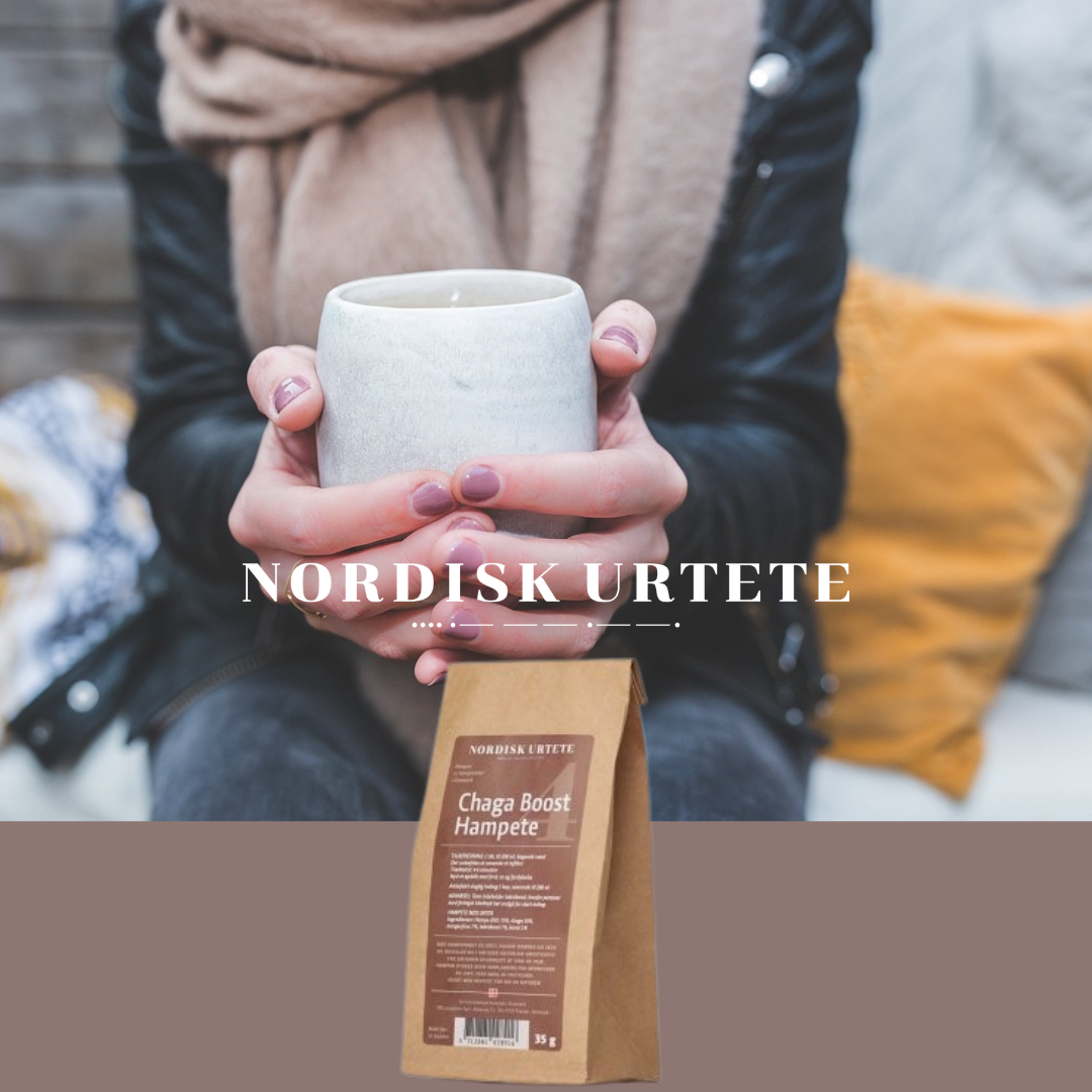 Nordisk Urtete Chaga Boost Hampete