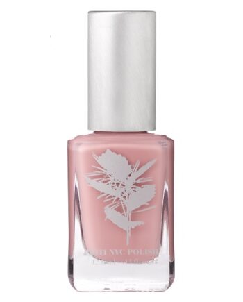 Priti Nyc   233 Compassion Rose