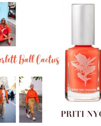 Priti Nyc   425 Scarlett Ball Cactus