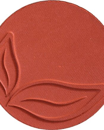 Purobio Cosmetics Blush Brick Matte 04