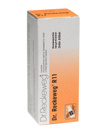 Dr  Reckeweg Dr  Reckeweg   11