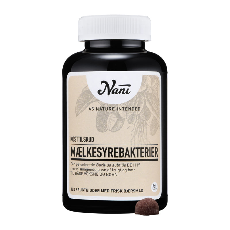 Nani Mælkesyrebakterier