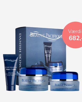 Paradoxe Bundle