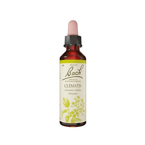 Bach Almindelig Skovranke 10ml