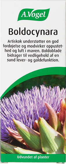 Boldocynara 100 Ml