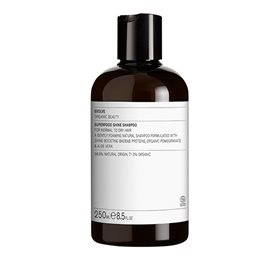 Evolve Shampoo Superfood Shine  Bull  250ml