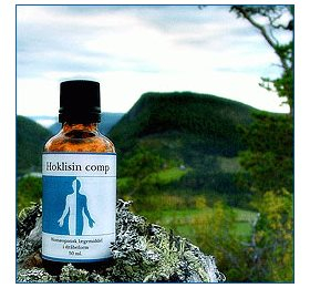 Holistica-medica Hoklisin Comp   Bull  50ml