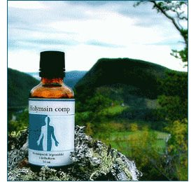 Holistica-medica Holymsin Comp   Bull  50ml