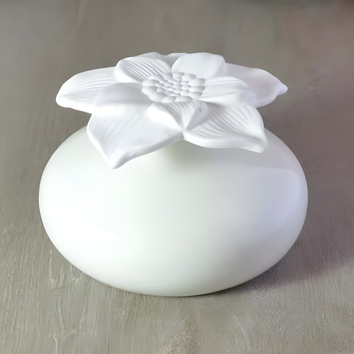Keramisk Diffuser Hvid Med Gipsblomst Og Væge Hedenhus Blomsten Naturlig Aromaafgivelse Elegant Design