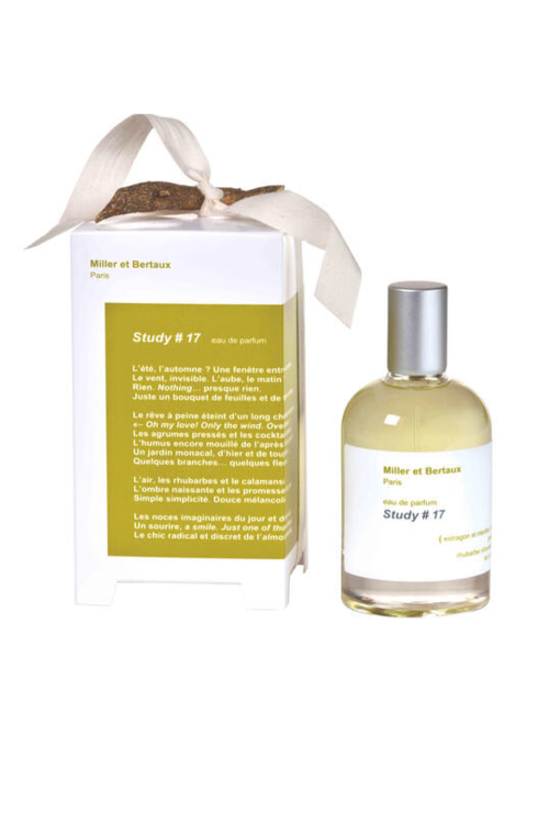 Study 17 100ml